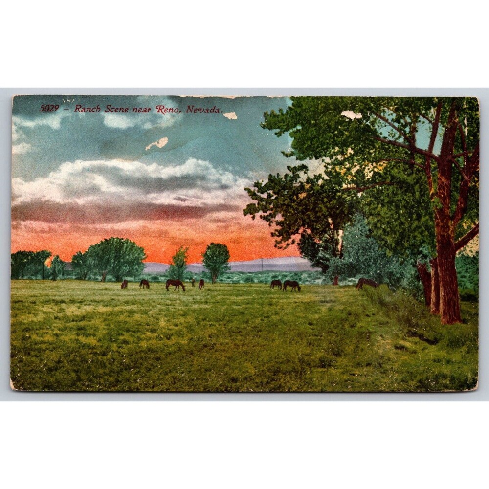 1914 Reno Nevada Postcard Ranch Scene Horses Edward H Mitchell 5029 Antique NV